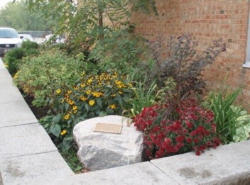 Picture of a garden